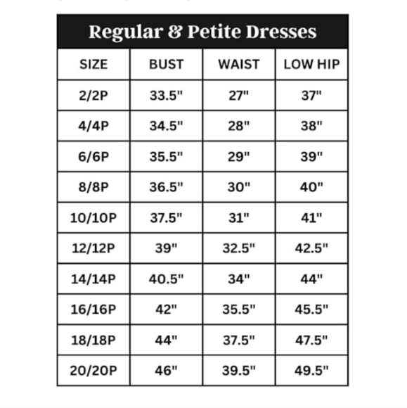 Alex Evenings Women's Long  Sleeveless Embroidered A Line Dress - Picture 7 of 13